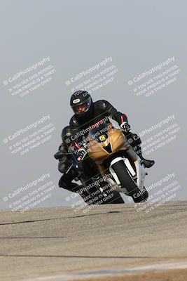 media/Feb-10-2023-TrackDaz (Fri) [[827c11d241]]/C Group/1245pm (Outside Grapevine)/